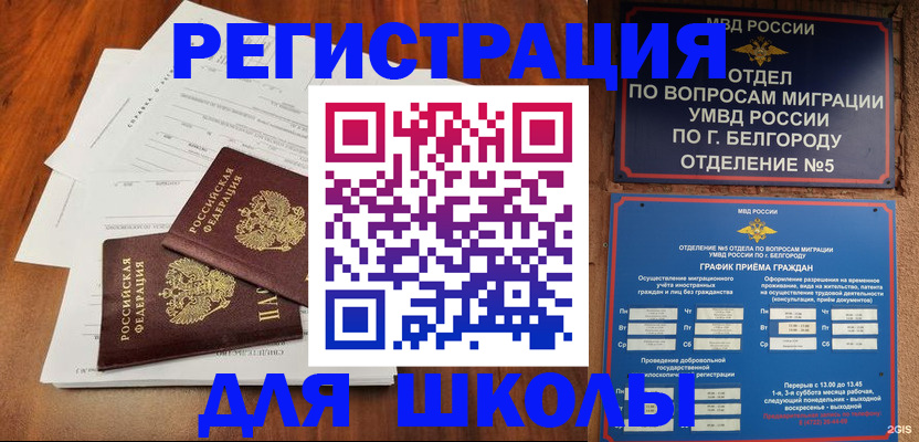 прописка поиск в Новгородской области