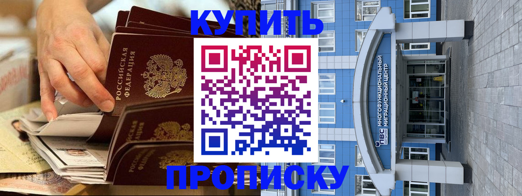 прописка гарантия в Новгородской области